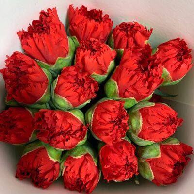 fresh cut berry from China China fresh flower supplier