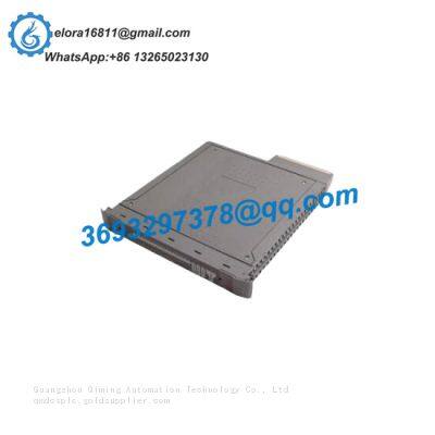 ICS TRIPLEX T8432C Programmable modules