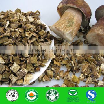 Fibrin Dried White FUNGUS MUSHROOM 2016