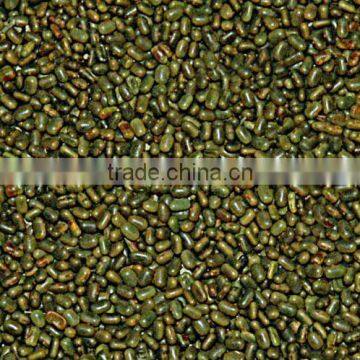 Black Sesbania Seeds