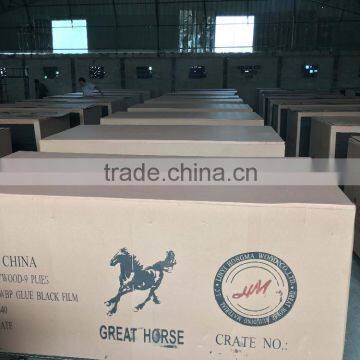 Finger Joint Film Faced Plywood photo-5