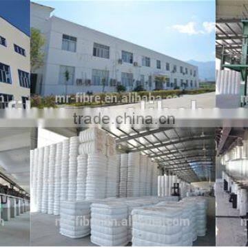 Down-like Polyester Staple Fiber 1.2D*32MM photo-3