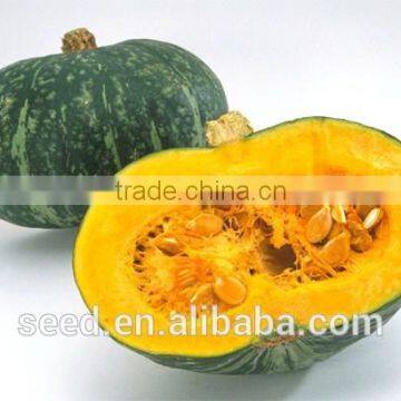 Green Bo chinese dark green skin orange flesh pumpkin seeds