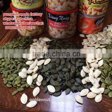 PUMPKIN SEEDS FOR IRAN UAE SAUDI ARABIA JORDAN RUSSIA 11cmup 13 cm up 11mm up 13 mm up photo-5
