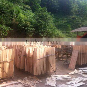 Eucalyptus Core Veneer photo-4