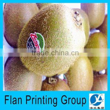 Design Your Own Sticker for the Fresh Fruits photo-6