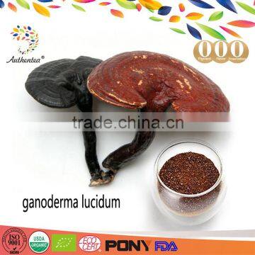 Green Food Ganoderma Lucidum Extract Powder Customized Available