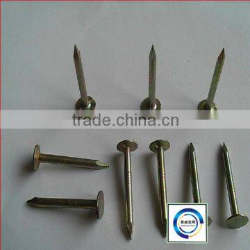 Factory Common Wire Nails