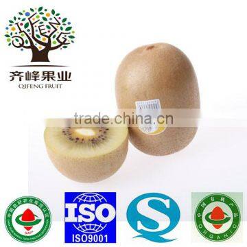 Fresh Gold Kiwi