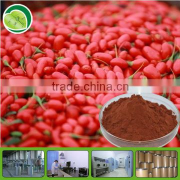 30% Polysaccharide powder of medlar