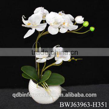 Factory direct Wholesale white fabric flowers artificial latex orchids