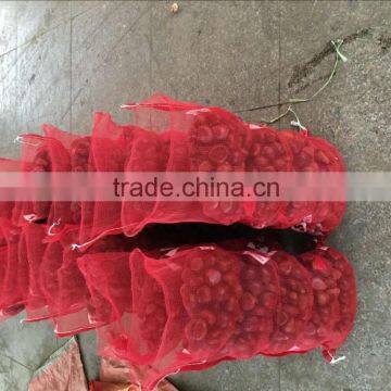 Fresh Chinese Chestnuts for Sale photo-6