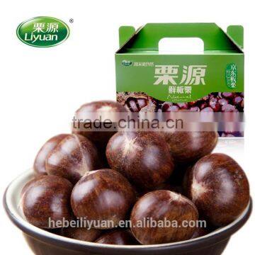 Hot Sale Top Quality Chinese Fresh Chestnuts, Sweet and Easy Peeling photo-4