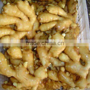 Fresh Washed Ginger photo-4