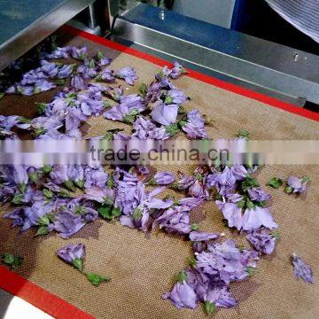 Microwave Flower Dryer and Sterilization Equipment photo-3