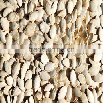 pumpkin seeds pumpkin kernels sunflower seeds sunflower kernels polly seeds