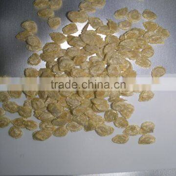 Pink Xi Hong Shi/tomato Seeds High Yield Hybrid Anti Virus Vegetable Seeds for Plant photo-3