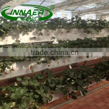 The most popular agricultural products is melon plant slot