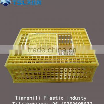 high quality chicken plastic poultry transport creat