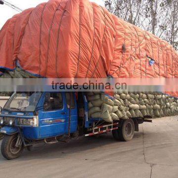 Diesel Three Wheel 2B13100 photo-5