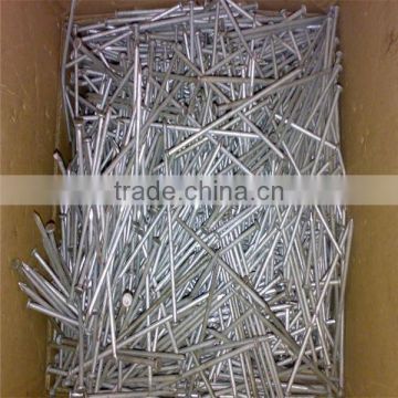 Polished Iron Nails ,steel Common Nails for Building photo-3