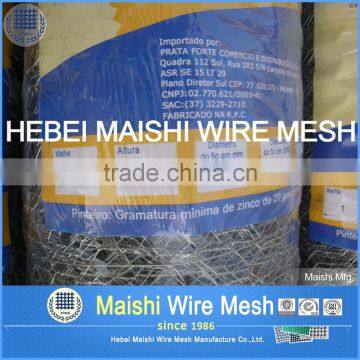 Pvc Coated Hexagonal Wire Mesh photo-6