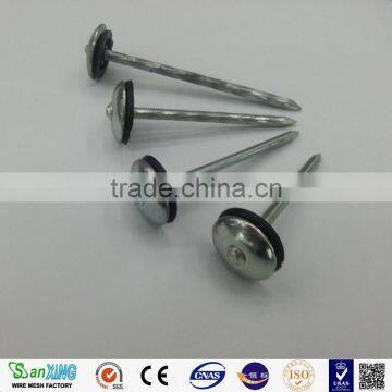 Best Quanlity 2.5 Inch and 3 Inch Roofing Nails photo-5