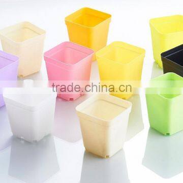 Plastic Colorful Small Square Flower Pots Without Pallet -3 Inch