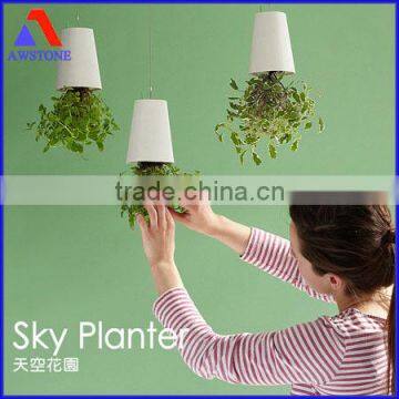 Fashion Sky Planter photo-2