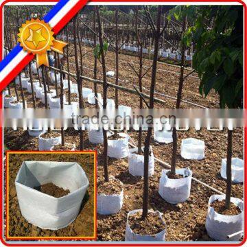 vertical garden grow bag