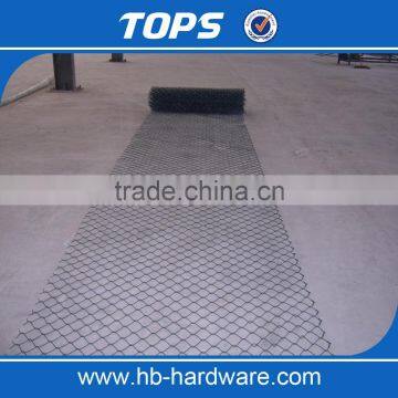 China Hot Sale Decorative Hot Dipped Galvanized Chain Link Fence photo-3