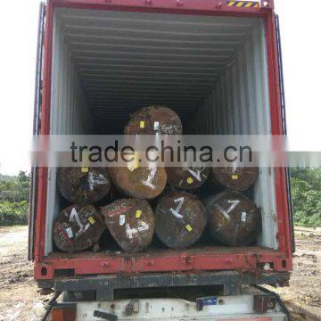 Suriname ROK / Rode Kabbes Log photo-3