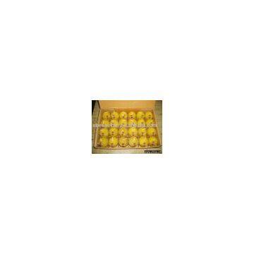 Bee Wax Candle