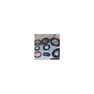 Oil Seals
