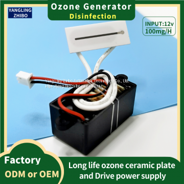 12V-100mg Ozone Generator 37*15mm Ozone Plate Air Purification and Disinfection photo-3