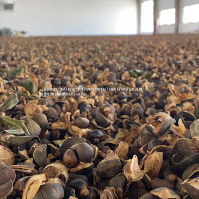 Tea seed pellets extracted from camellia seed for Oil