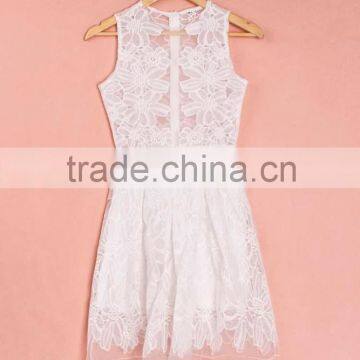 New Fashion Ladies Dress Sleeveless Lace Dress Sexy Evening Dress photo-4