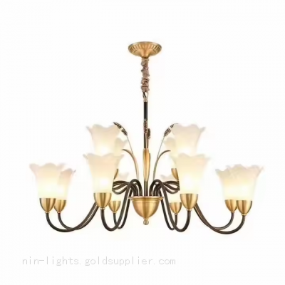 Modern European Style Living Room Bedroom Chandelier Fixture