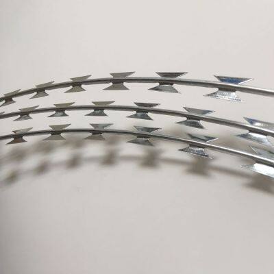 PVC PE Coated Galvanized High Strength Razor Barbed Wire for Protection Mesh/Farm Fencing photo-5