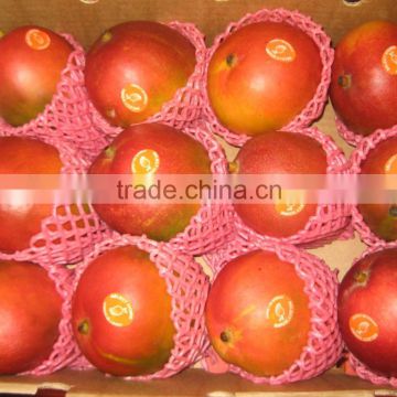 EPE Foam Net For Fruit And Bottle