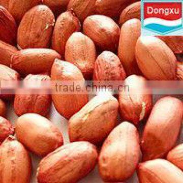 high quality red skin peanuts