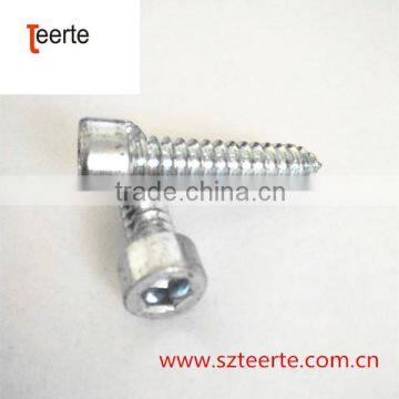 All Kinds of Stainless Steel Tapping Screw in Best-selling photo-5