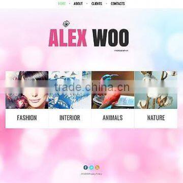 Professional Photography Websites photo-4