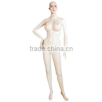 Hot product newly half body mannequin/Muscle male torso mannequin/Mannequin