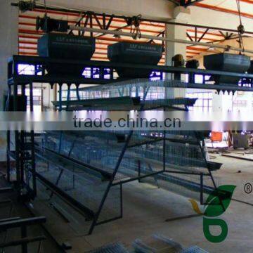 poultry farming equipment automatic husbandry feeder