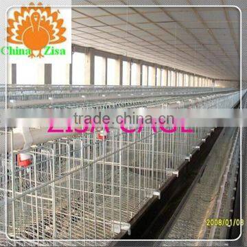 Kenya Marketsupply Poultry Layer Chicken Cage Farm Equipment Factory From Zisa photo-3