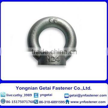 China Galvanized Carbon Steel Lifting Eye Nuts photo-4