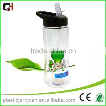 BPA Free Straw Water Bottle