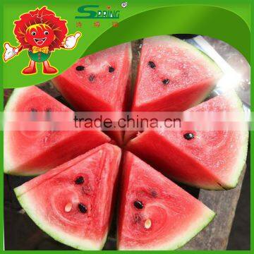 no Frozen Watermelon Cheap Chinese Fresh Watermelon Fake Watermelon photo-3