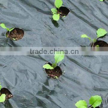 Cheap Garden PE Protective Mulch Film photo-3